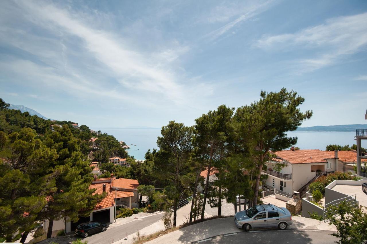 Lile Apartment
